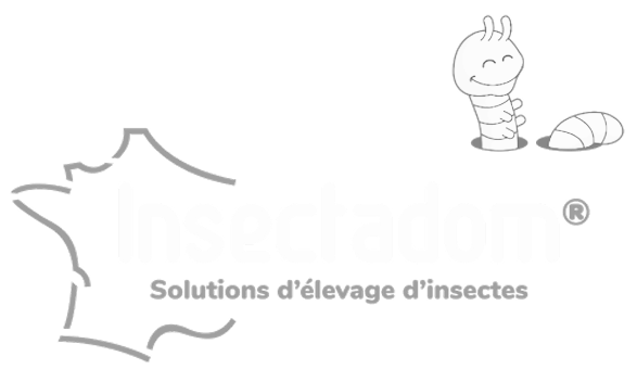 Insectadom